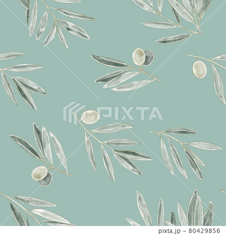 オリーブパターン 80429856