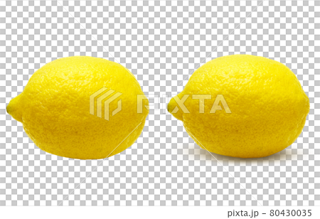 Lemon Illustration Real Set 3 Lemon Illustration Real Set 3 80430035