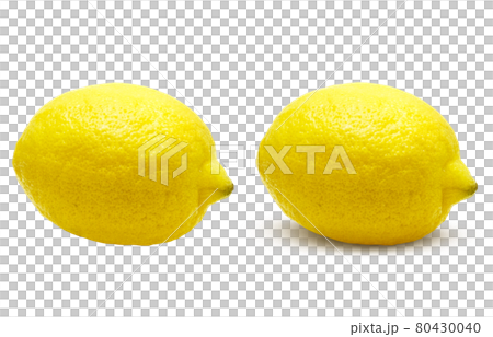 レモン イラスト リアル セット 2のイラスト素材 レモン イラスト リアル セット 2のイラスト素材