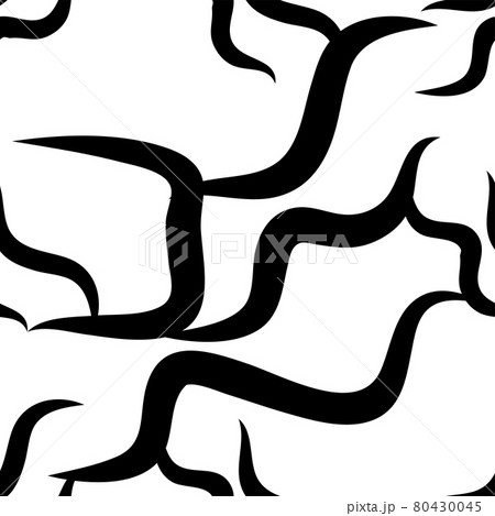 Zebra Stripes black and white pattern.Seamless Zebra Stripes black and white pattern.Seamless 80430045