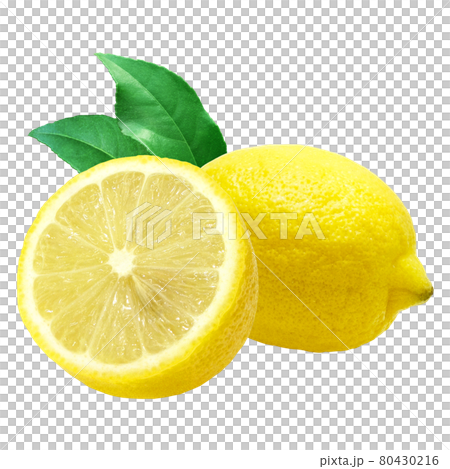 Lemon Illustration Real Set Cross Section 2 80430216