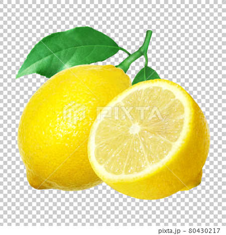 Lemon Illustration Real Set Cross Section 1 80430217