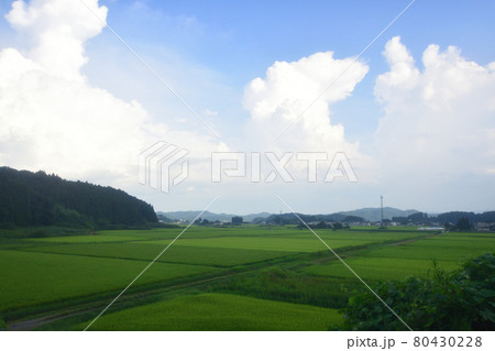 2020年夏の東北本線、福島駅から新白河駅までの車窓風景 80430228