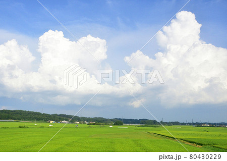 2020年夏の東北本線、福島駅から新白河駅までの車窓風景 2020年夏の東北本線、福島駅から新白河駅までの車窓風景 80430229