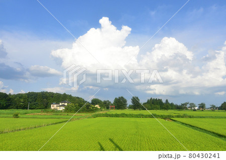 2020年夏の東北本線、福島駅から新白河駅までの車窓風景 80430241