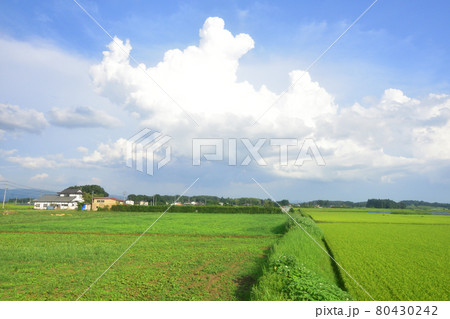 2020年夏の東北本線、福島駅から新白河駅までの車窓風景 80430242