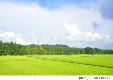 2020年夏の東北本線、福島駅から新白河駅までの車窓風景 2020年夏の東北本線、福島駅から新白河駅までの車窓風景 80430251