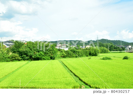 2020年夏の東北本線、福島駅から新白河駅までの車窓風景 80430257