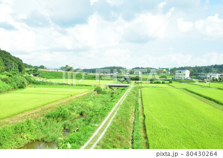 2020年夏の東北本線、福島駅から新白河駅までの車窓風景 2020年夏の東北本線、福島駅から新白河駅までの車窓風景 80430264