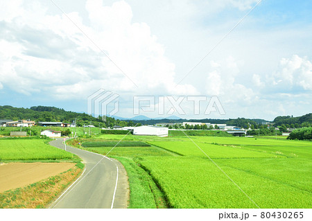 2020年夏の東北本線、福島駅から新白河駅までの車窓風景 80430265