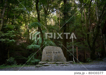 奈良県春日山原始林の世界遺産登録記念碑 80430377