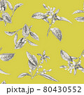 レモンの花のスケッチパターン 80430552