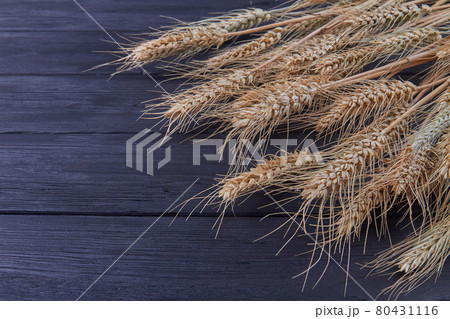 Close-up bunch of barley or rye spikelets on black background. Close-up bunch of barley or rye spikelets on black background. 80431116