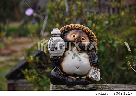 信楽焼の狸 80431217