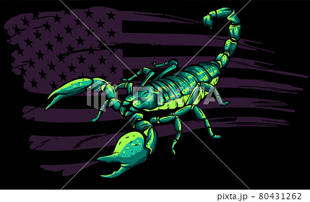 scorpion cartoon with american flag vector illustration 80431262