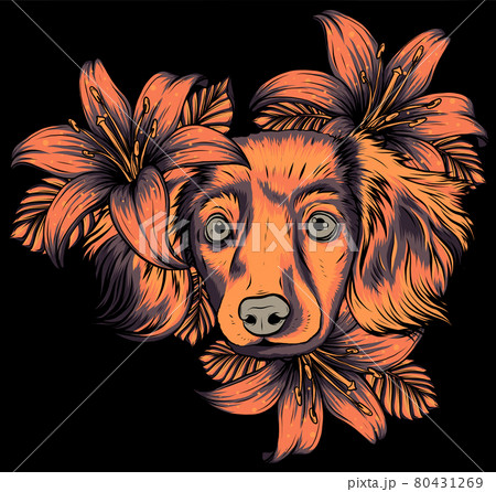 Portrait of a Spaniel dog in a flower head wreath. Vector illustration. 80431269