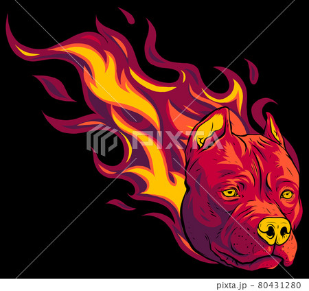 head of dog pitbull with flames vector 80431280
