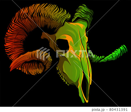 vector illustration of Skull goat on black background 80431391