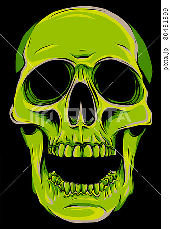 vector illustration of human skull on black background vector illustration of human skull on black background 80431399