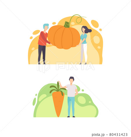 Tiny People Holding Huge Vegetables, Man and Woman Standing with Pumpkin and Carrot, Healthy Diet, Eco Natural Food Concept Cartoon Vector Illustration 80431423