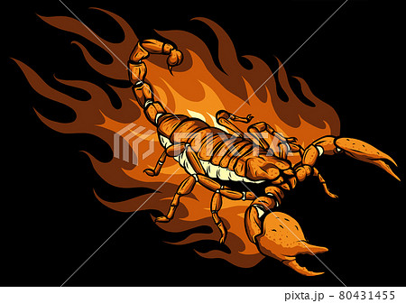 Scorpion Cartoon With Flames Vector のイラスト素材