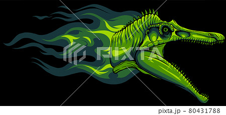 dinosaurus Spinosaurus head with flames vector illustration design 80431788