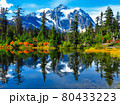 Beautiful green trees in front of a beautiful lake with snowy mountains 80433223