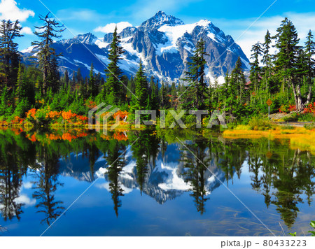 Beautiful green trees in front of a beautiful lake with snowy mountains Beautiful green trees in front of a beautiful lake with snowy mountains 80433223