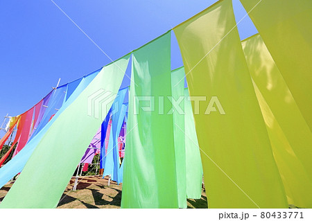 びわこ箱館山　夏のイベント 80433771