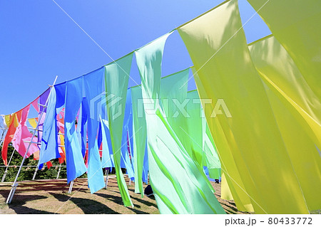 びわこ箱館山 夏のイベント びわこ箱館山 夏のイベント 80433772