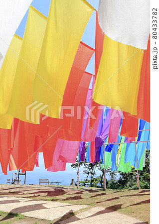 びわこ箱館山 夏のイベント びわこ箱館山 夏のイベント 80433782