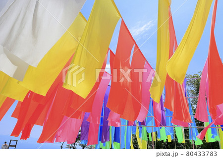 びわこ箱館山　夏のイベント 80433783