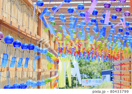びわこ箱館山　夏のイベント 80433799