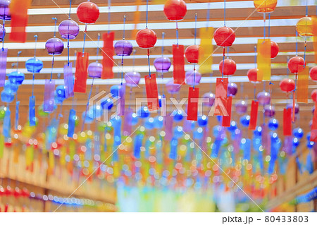 びわこ箱館山　夏のイベント 80433803