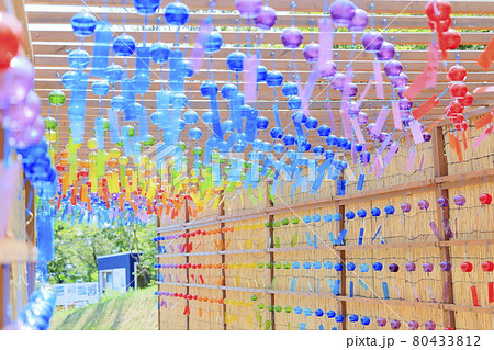 びわこ箱館山　夏のイベント 80433812