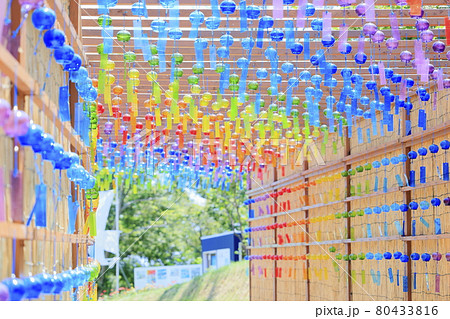 びわこ箱館山　夏のイベント 80433816
