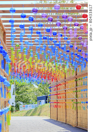 びわこ箱館山 夏のイベント びわこ箱館山 夏のイベント 80433817