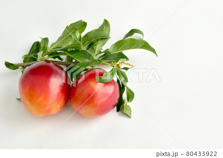 Two large rafts of cherry plum on the table. 80433922