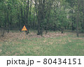 Red-yellow radiation sign on a lawn. Exclusion Zone. Chernobyl, Pripyat 80434151