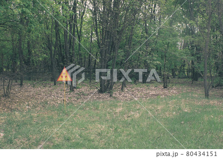 Red-yellow radiation sign on a lawn. Exclusion Zone. Chernobyl, Pripyat 80434151