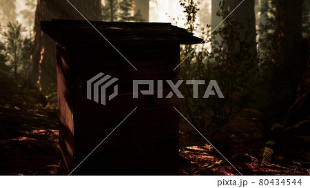 Old wooden beehive in forest in fog Old wooden beehive in forest in fog 80434544