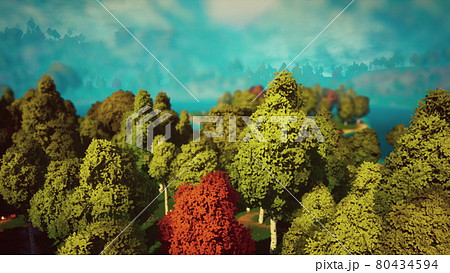 Cartoon Green Forest Landscape with Trees and lake 80434594