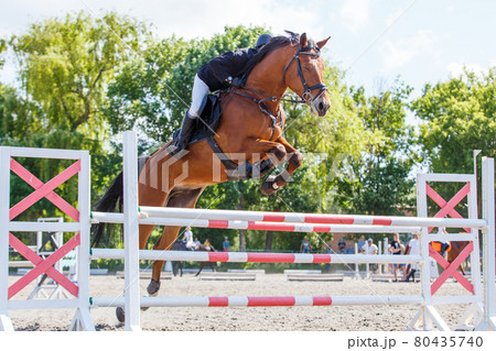 Young rider man jumping over the barrier 80435740