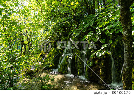 Waterfall with turquoise water in the Plitvice Lakes National Park, Croatia. 80436176