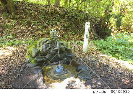 日本名水百選　「龍ヶ窪」の池からの湧水　(苗場山麓ジオパーク) 80436959