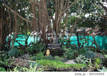 ホワイト・テンプルの仏像(チェンライ、タイ) ホワイト・テンプルの仏像(チェンライ、タイ) 80436969