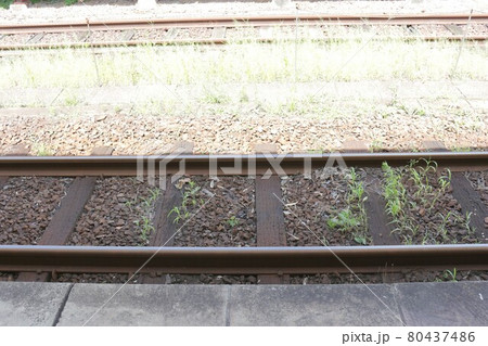 夏の線路 80437486