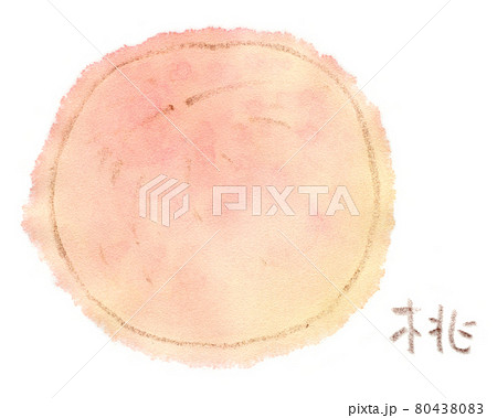 夏の果物（フルーツ）：桃の水彩イラスト 80438083