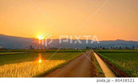 初夏の田園風景（夕暮れ） 80438521