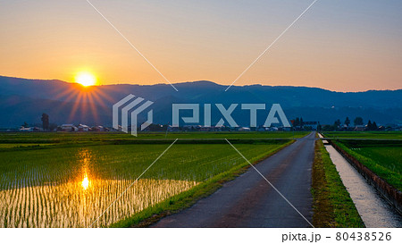 初夏の田園風景(夕暮れ) 初夏の田園風景(夕暮れ) 80438526